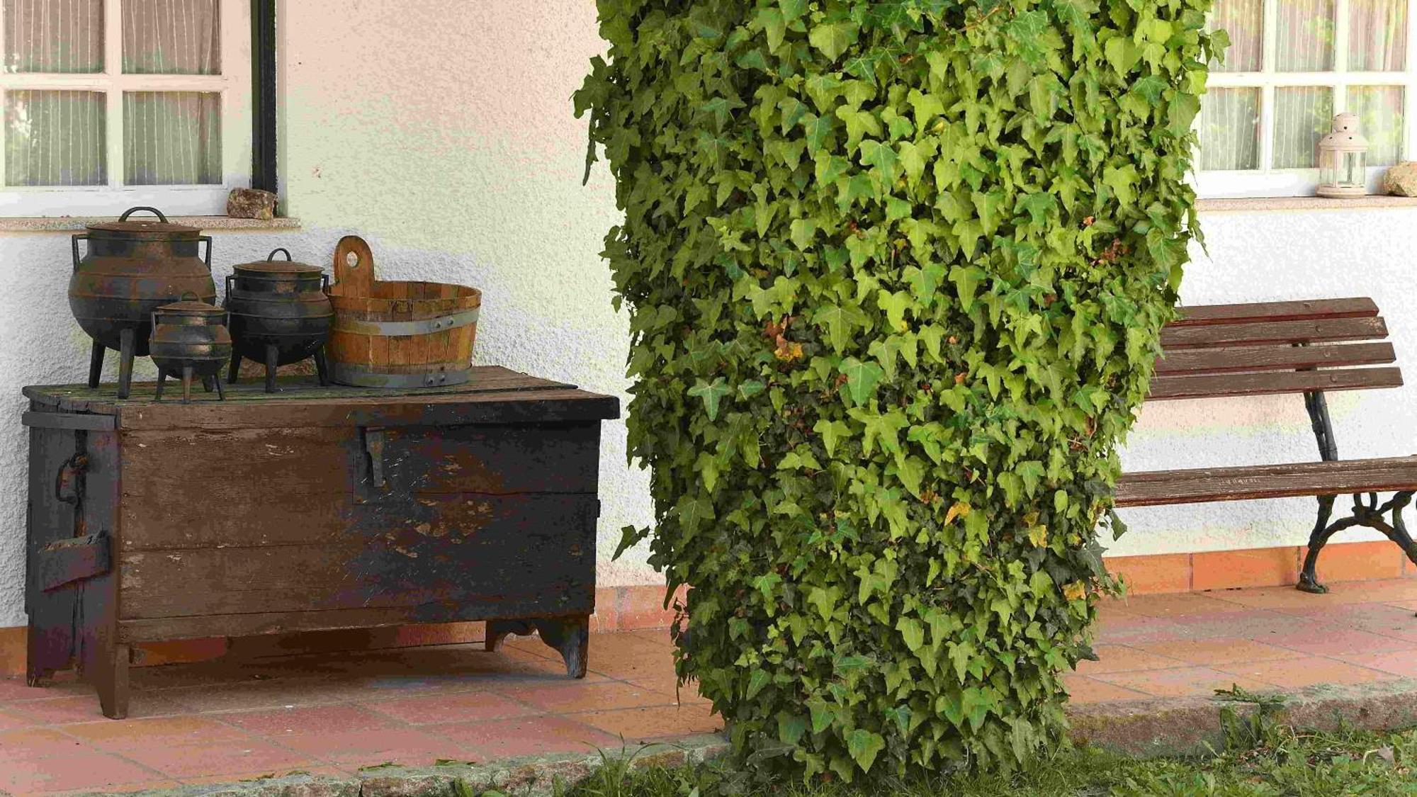 Quinta Da Fata Villa Nelas Dış mekan fotoğraf
