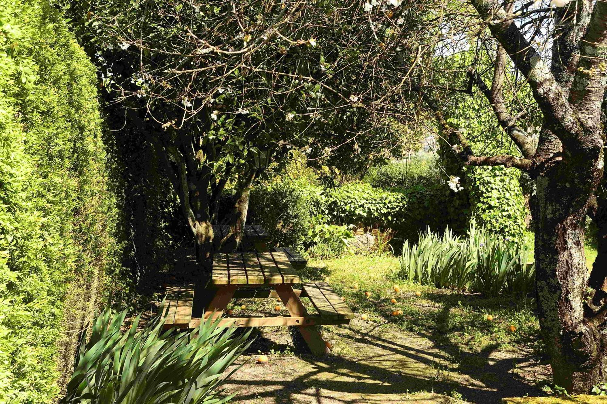 Quinta Da Fata Villa Nelas Dış mekan fotoğraf
