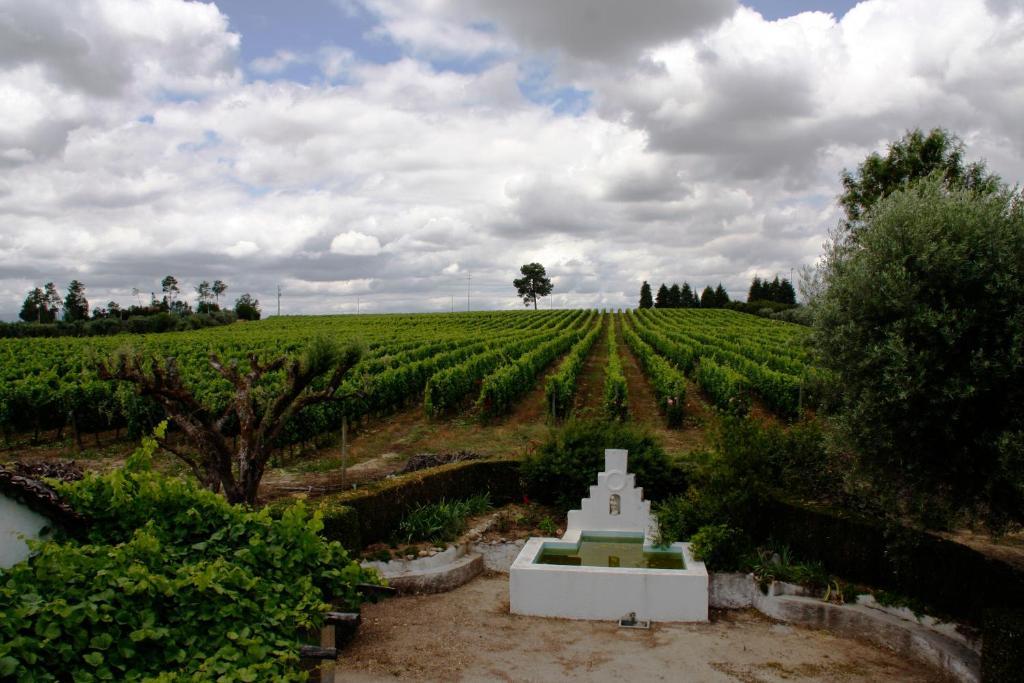 Quinta Da Fata Villa Nelas Dış mekan fotoğraf